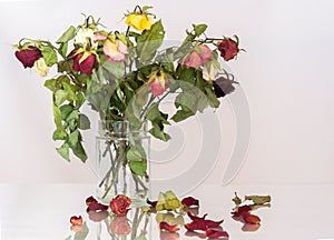 Dried Bouquet in a vase