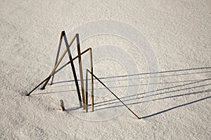 Dried branches on white snow in a winter forest