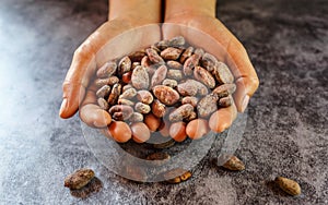 Dried brown cocoa beans in farmer hand