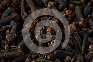 Dried brown pikes of cloves spicy herb