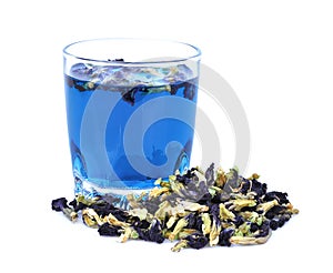 Dried butterfly pea flower with butterfly pea tea isolated