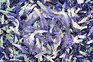 Dried butterfly pea flowers tea or blue clitoria ternate texture top view on background