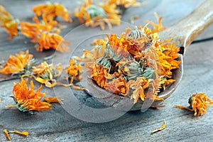 Dried calendula flowers in a wooden spoon. calendula tea. alternative medicine