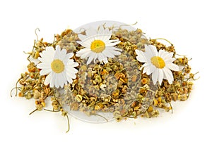 Dried camomile tea photo