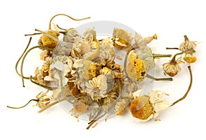 Dried camomile tea