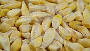 Dried cancha maize kernels close up. Dry corn seeds. Macro.