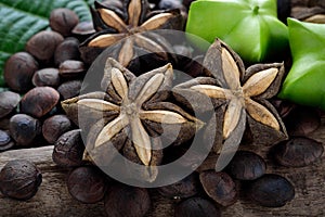 Dried capsule seeds fruit of sacha-Inchi peanut photo