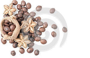 Dried capsule seeds fruit of sacha-Inchi peanut isoalted