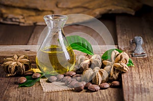 dried capsule seeds fruit of sacha-Inchi peanut on wooden table photo