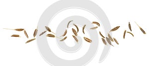 Dried caraway seeds isolated on white background, top view. Cumin seeds