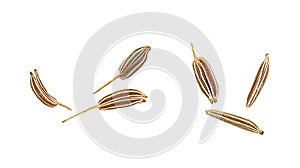 Dried caraway seeds isolated on white background, top view. Macro. Cumin seeds