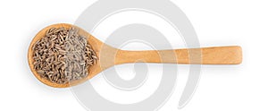 dried caraway seeds in the wooden spoon isolated on white background. Top view