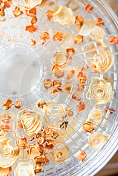 Dried carrot and onion slices in the dehydrator