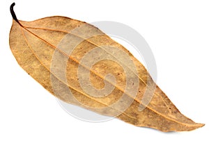 Dried cassia leaf