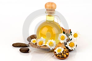 Dried Chamomile Flowers and oil on a white background.