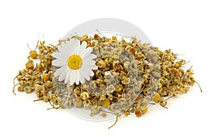 Dried chamomile tea photo