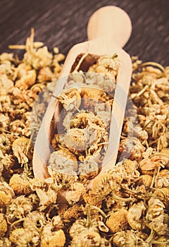 Dried chamomile with wooden scoop on board. Alternative medicine and herbalism