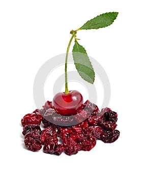 Dried cherry heap with ripe cherry. Isolated on white background