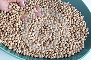 Dried Chick Peas