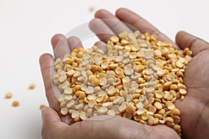 Dried chickpea lentils in wooden bowl on white background , Split Chickpea Also Know as Chana Dal