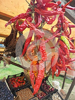 Dried chiles on sale photo