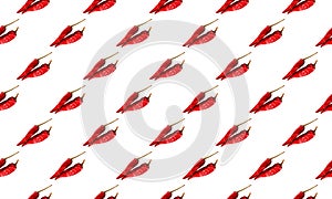 Dried chili pattern seamless background