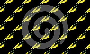 Dried chili pattern seamless background