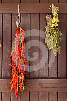 Dried chili pepper rosmery and chamomile