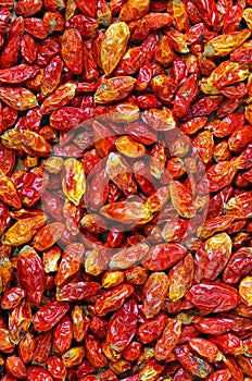 Dried Chili Peppers