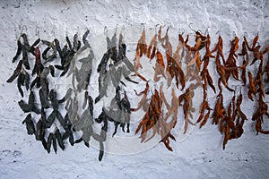 Dried chili peppers hanging in a Picanteria, a traditional restaurant in Arequipa, Peu.