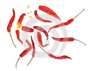 Dried chili peppers on white background