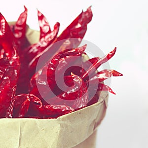 Dried chilies photo