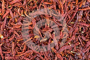 Dried chilies