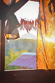 Dried chilies hanging on a rope in a village in susnset photo