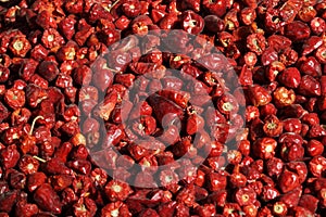 Dried chilies photo