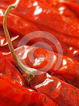 Dried chillies
