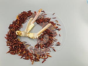 Dried chillies surrounded by fresh galangal