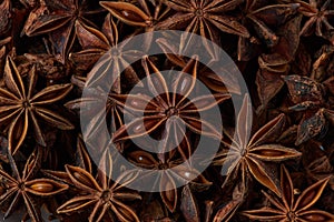 Dried chinese anise star spice