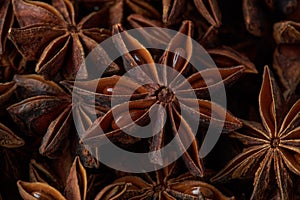 Dried chinese anise star spice