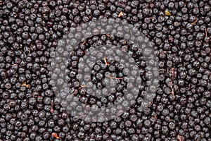 Dried chokeberry grain background