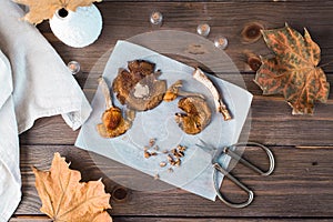 Dried chopped amanita ready to eat on parchment and scissors on a wooden table. Microdosing and Alternative Medicine. Top view