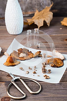 Dried chopped fly agarics stacked in a small jar and dry mushrooms on parchment and scissors on a wooden table. Microdosing and