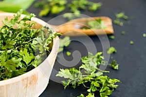 Dried cilantro leaves on a wooden spoon. Natural light. Selective focus. Close up on a black background. Top view, flat lay. copy