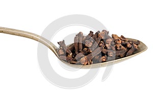 Dried cloves isolated in a spoon on white background. Aromatic s