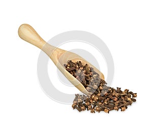 Dried cloves in the wooden spoon isolated on white background