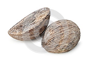 Dried coconut on white.