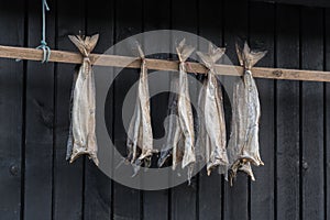 Dried cod outside a house in the Faroe Islands