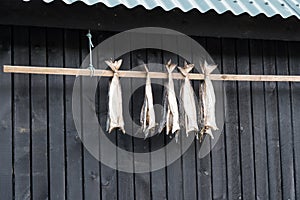 Dried cod outside a house in the Faroe Islands