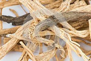 Dried codonopsis root chinese herbal medicine photo