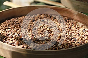 Dried Coffee Beans